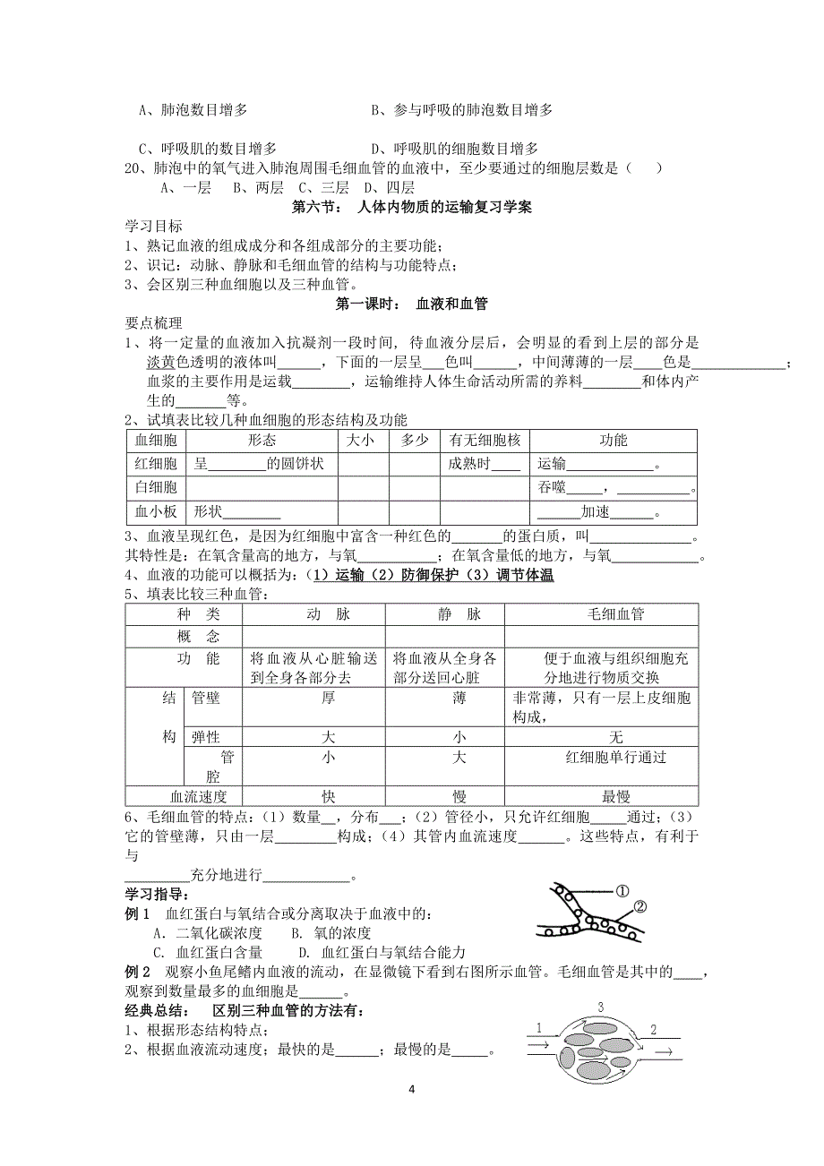 发生在肺里的气体交换复习学案 (1).doc_第4页