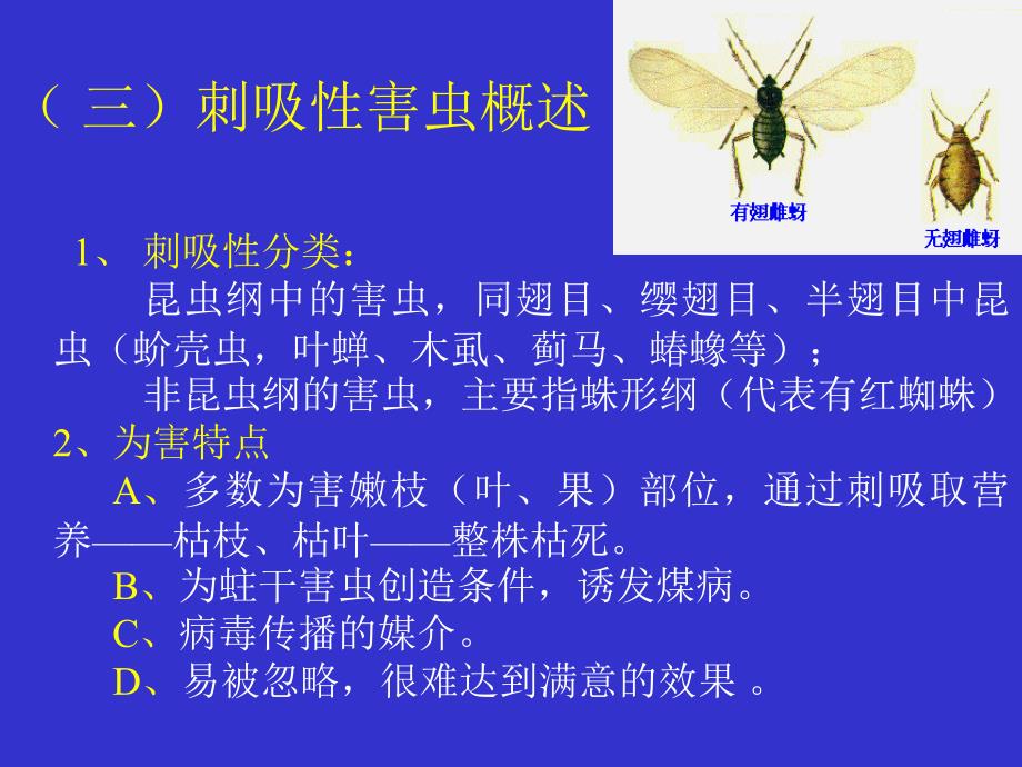 园林昆虫-刺吸性害虫ppt课件教学教程_第1页