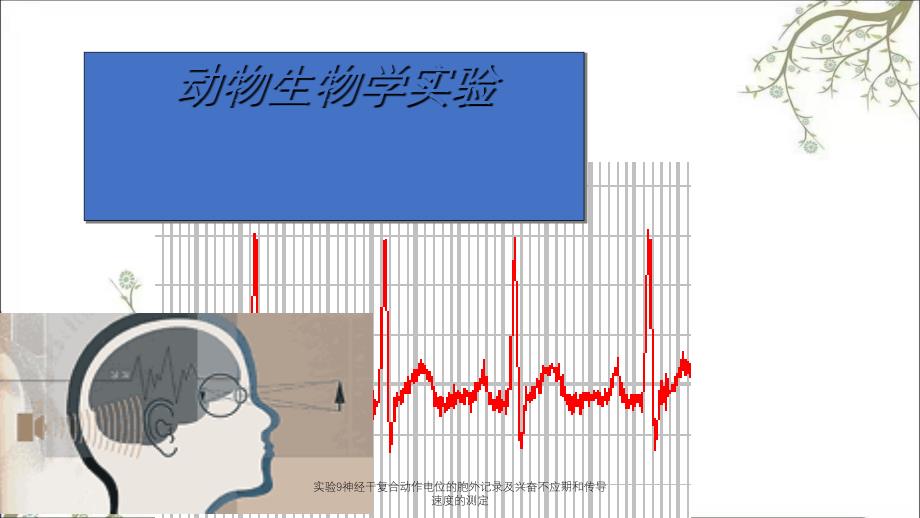 实验9神经干复合动作电位的胞外记录及兴奋不应期和传导速度的测定_第1页