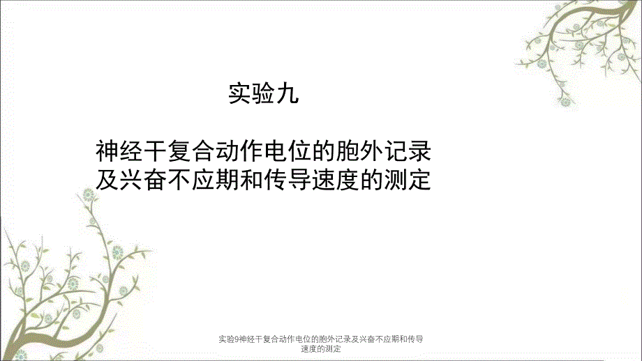 实验9神经干复合动作电位的胞外记录及兴奋不应期和传导速度的测定_第2页