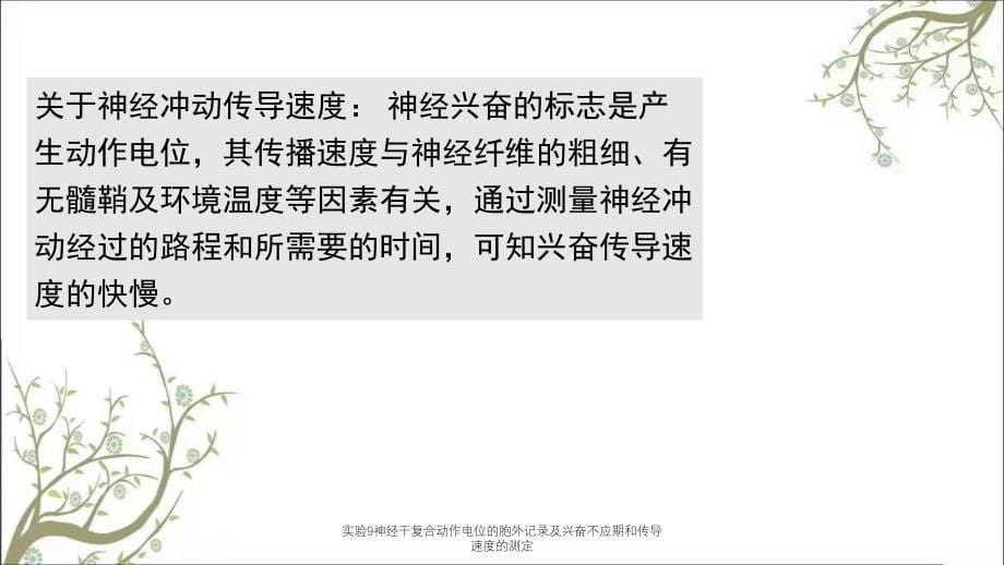 实验9神经干复合动作电位的胞外记录及兴奋不应期和传导速度的测定_第5页