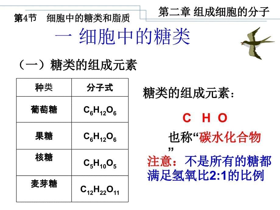 《细胞中的糖类和脂质》教学课件^123406_第5页