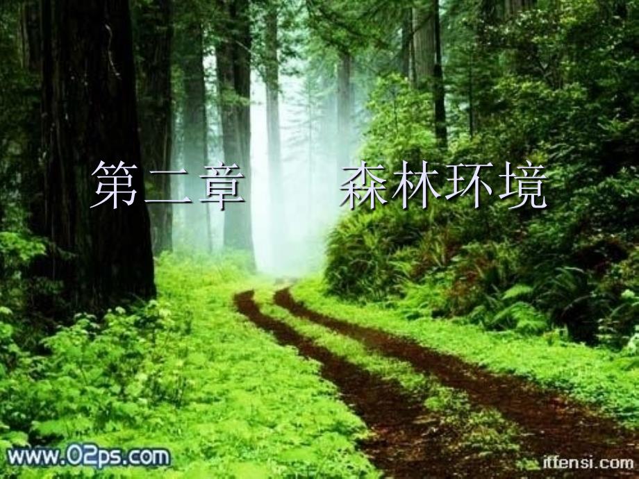 森林环境PPT课件_第1页