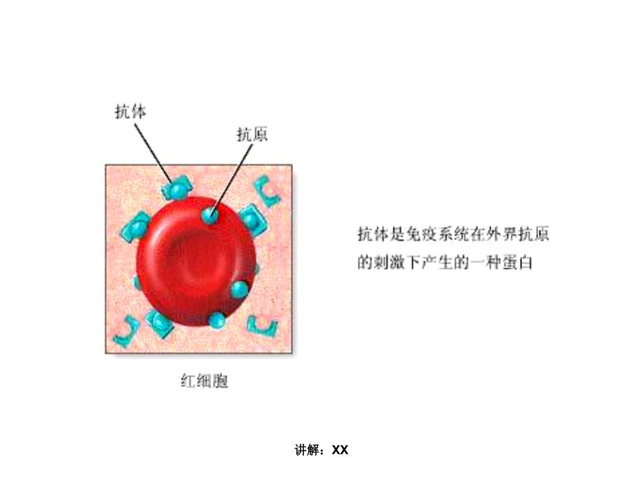 免疫学检测技术_第2页