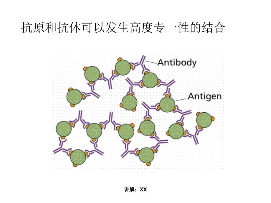 免疫学检测技术_第5页