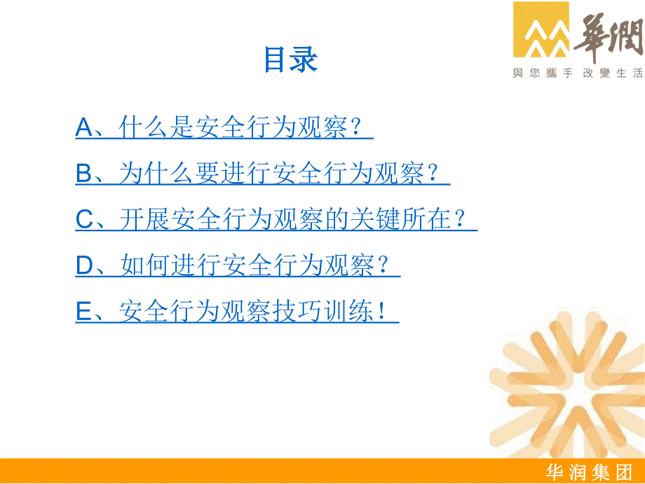 《安全行为观察》PPT课件.ppt_第2页