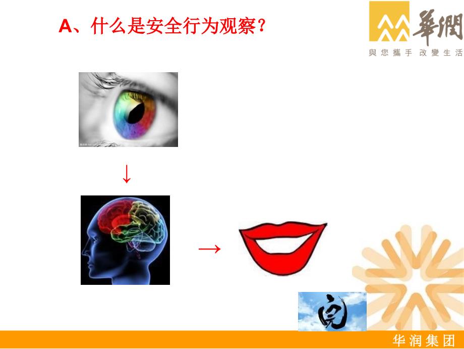 《安全行为观察》PPT课件.ppt_第3页