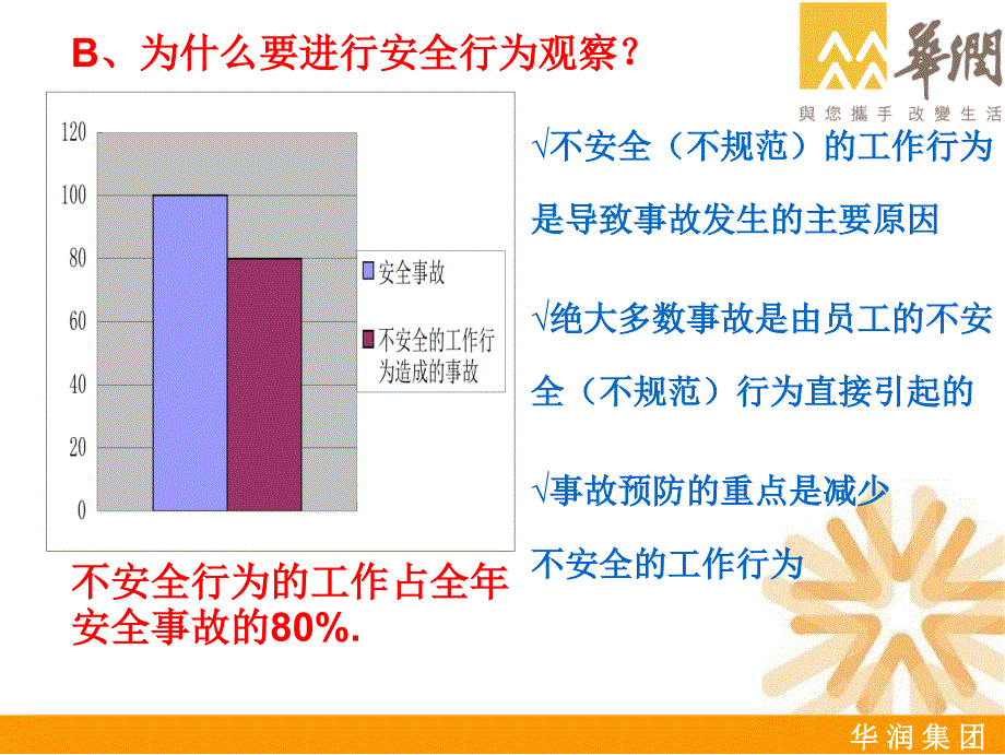 《安全行为观察》PPT课件.ppt_第4页