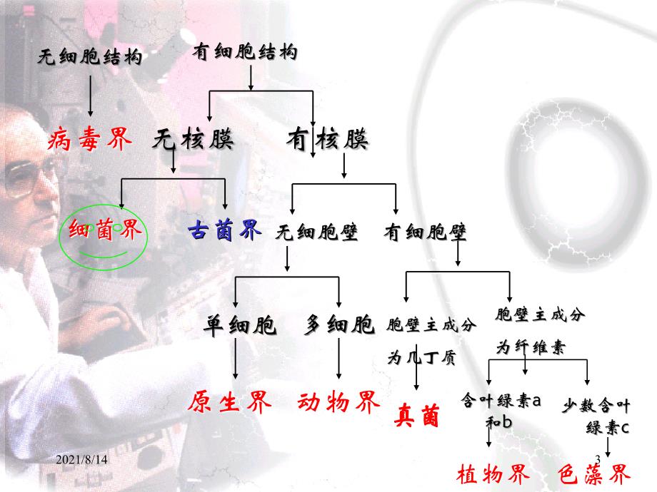 3植物病原物细菌_第3页