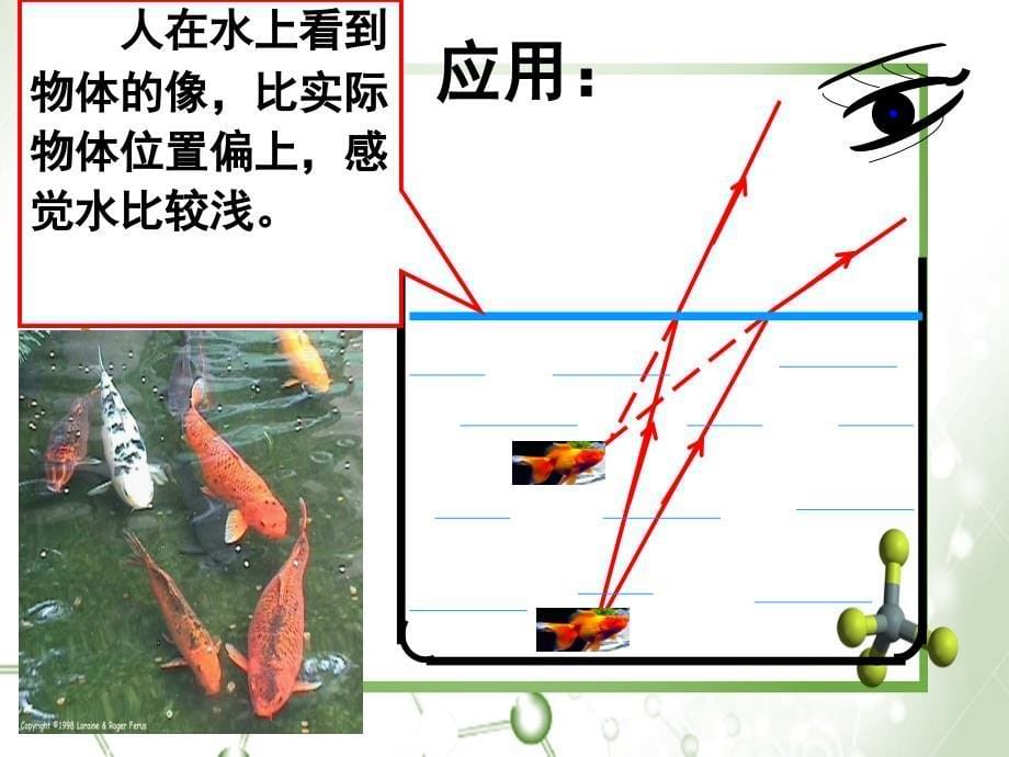 三年级科学下册5.4与水有关的光现象课件2湘教版湘教版小学三年级下册自然科学课件_第5页