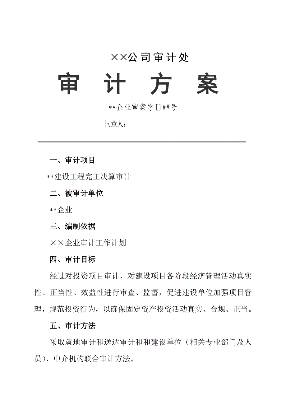 公司审计专项方案模板超经典.doc_第1页