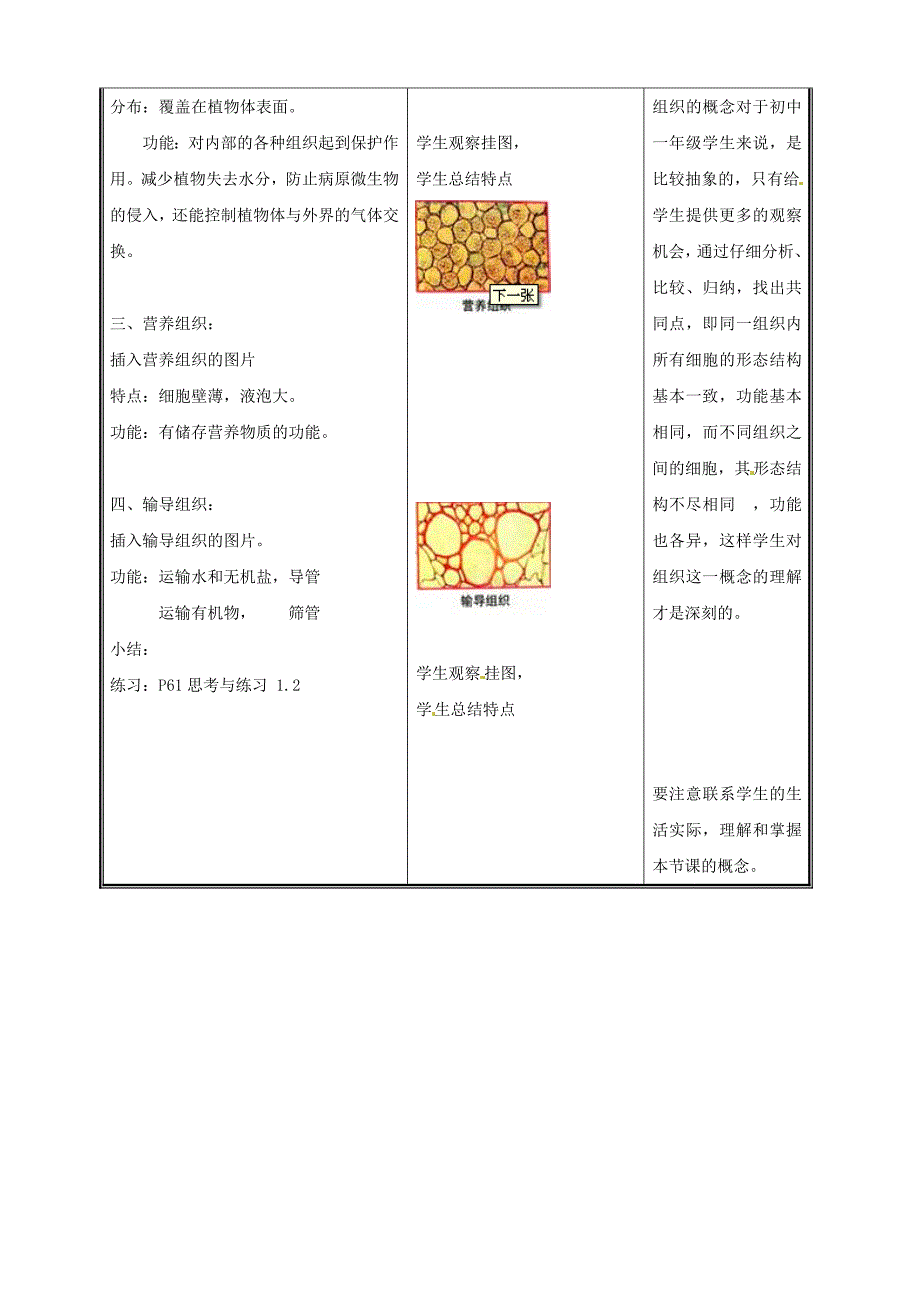 生物：41细胞分化形成组织（二）教案（北师大版七年级上）.doc_第3页