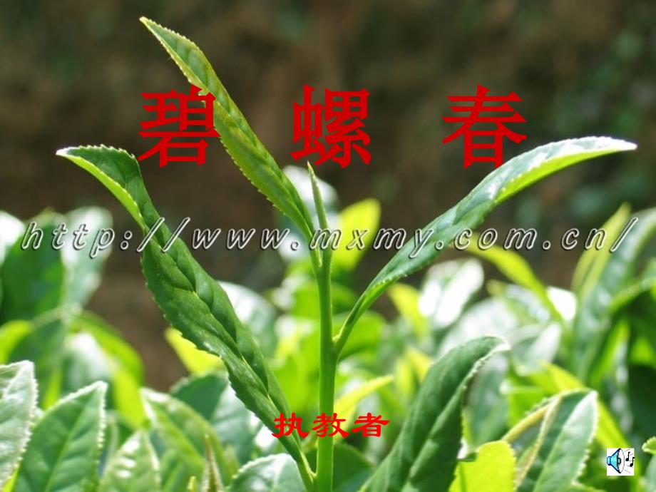 小学语文课文碧螺_第1页