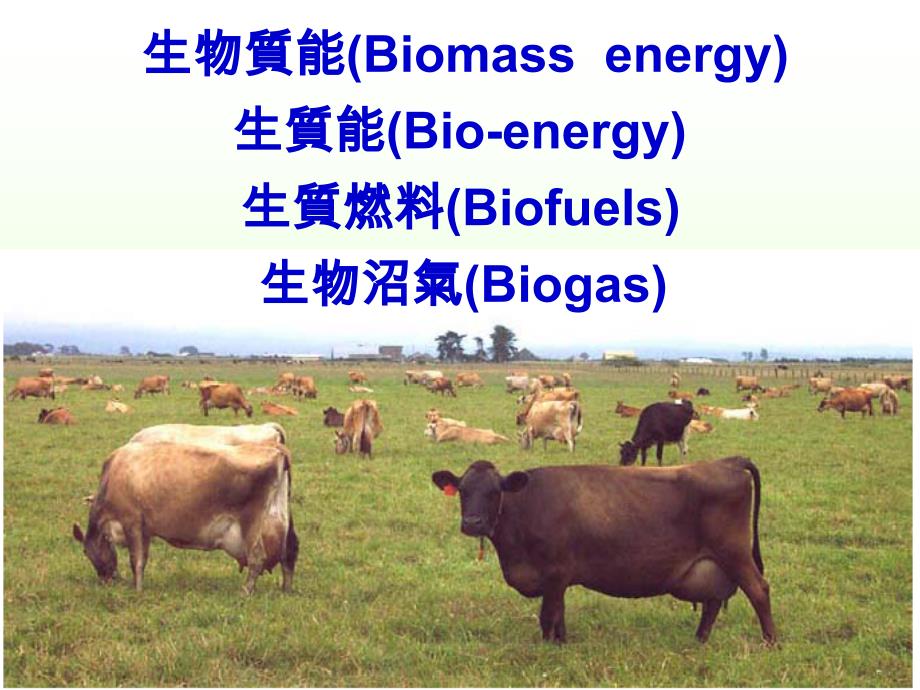 生物质能Biomassenergy生质能Bioenergy生质燃料_第1页