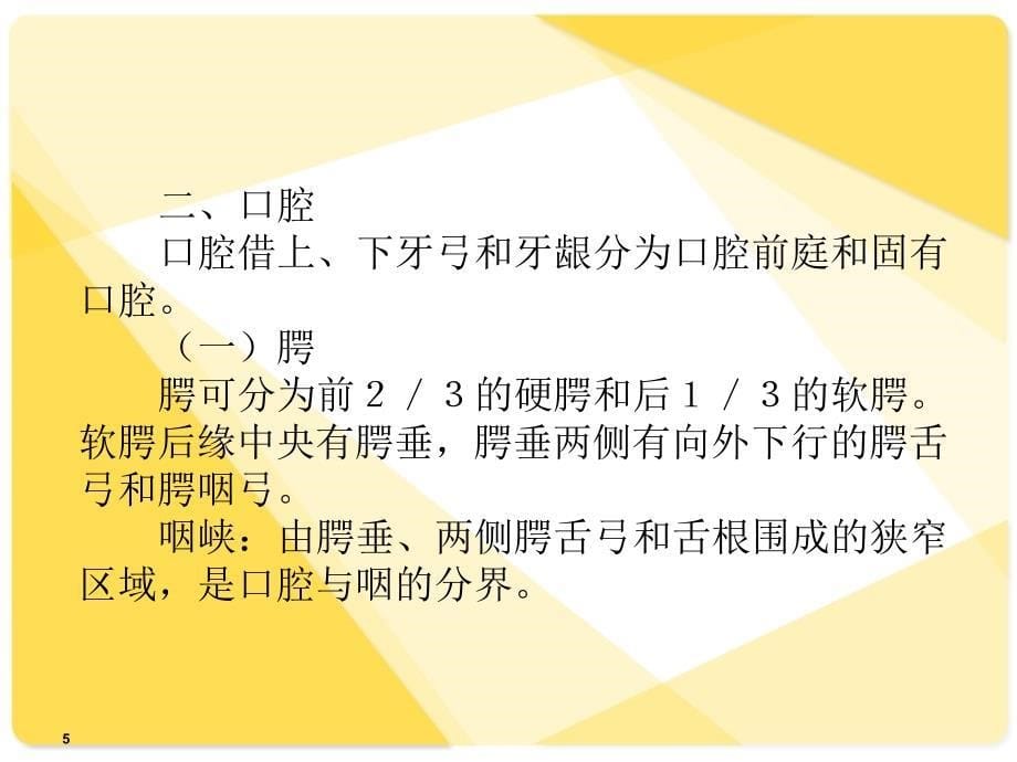 解剖学课件：消化系统_第5页