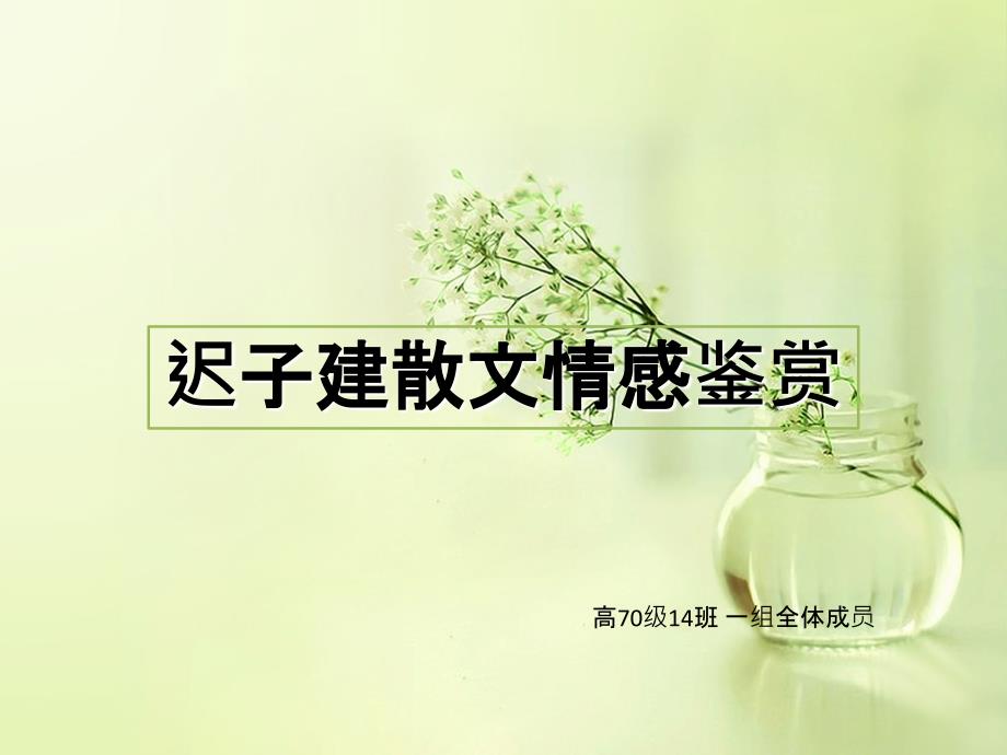 迟子建散文情感鉴赏_第1页