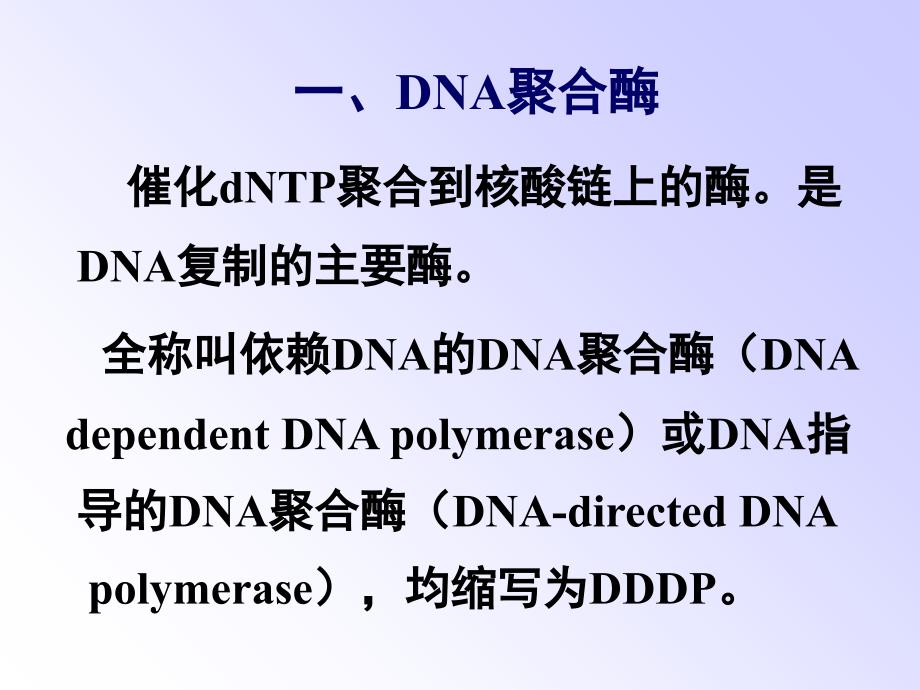 DNA复制的酶学PPT课件_第3页