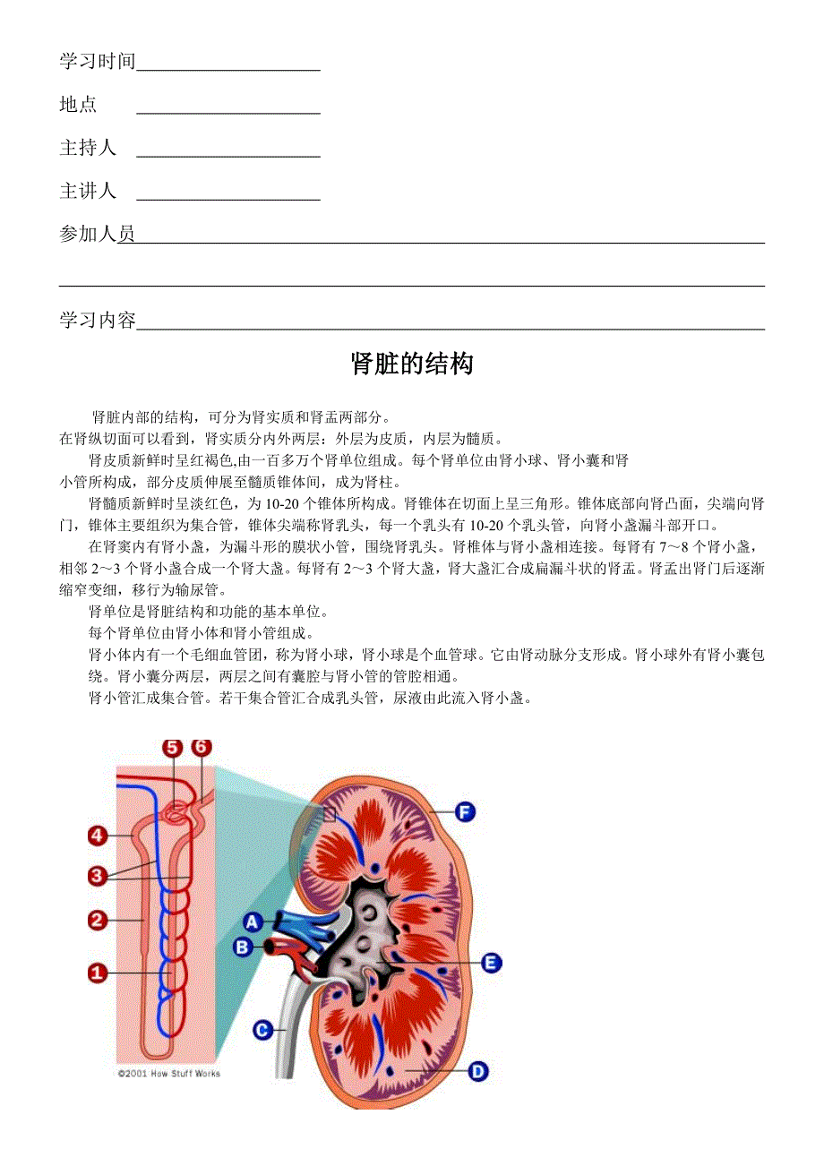 肾脏相关知识.doc_第1页