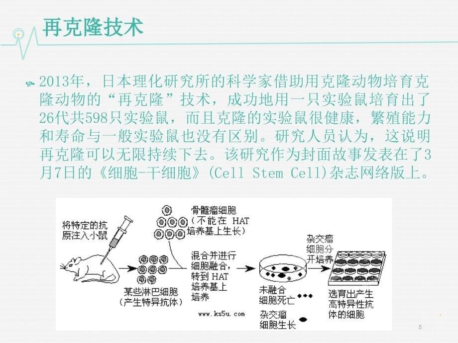 克隆技术课堂PPT_第5页