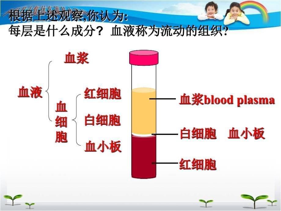 流动的组织-血液一_第5页