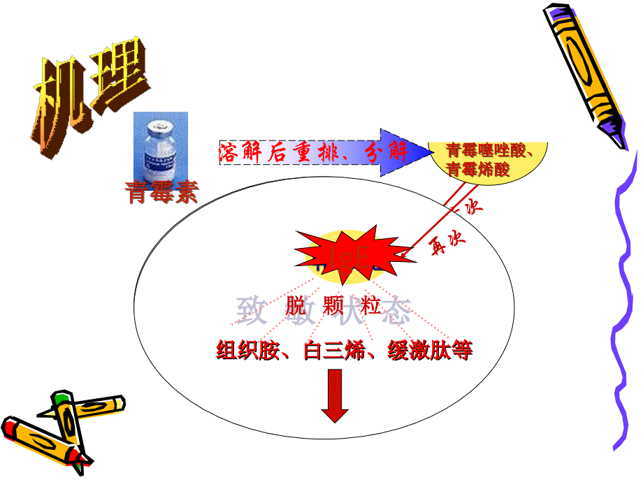 青霉素过敏性休克的抢救[1]_第4页