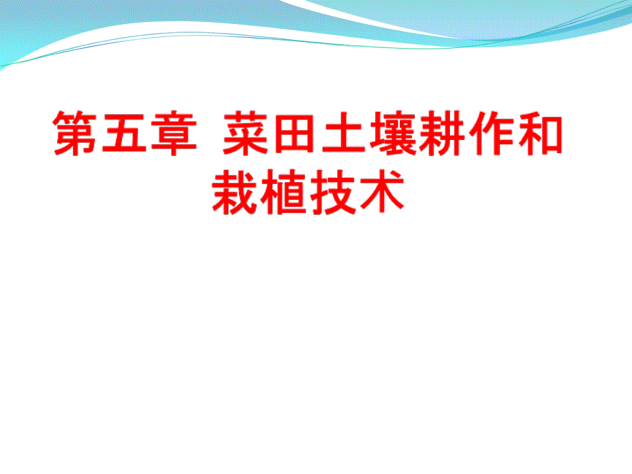 菜田土壤耕作和栽植技术_第1页