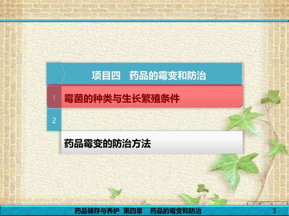 药品储存与养护课件第4章---药品的霉变与防治_第3页