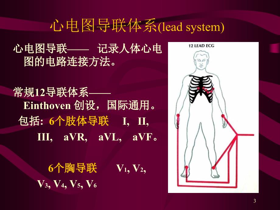 心电图心电向量与心肌缺血_第2页