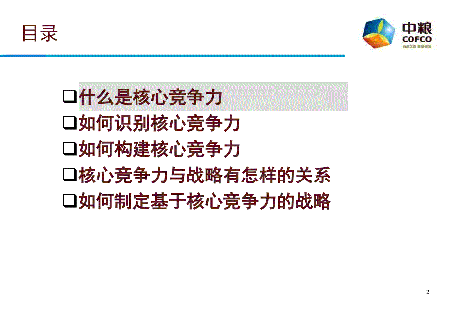 中粮集团构建核心竞争力模板_第2页