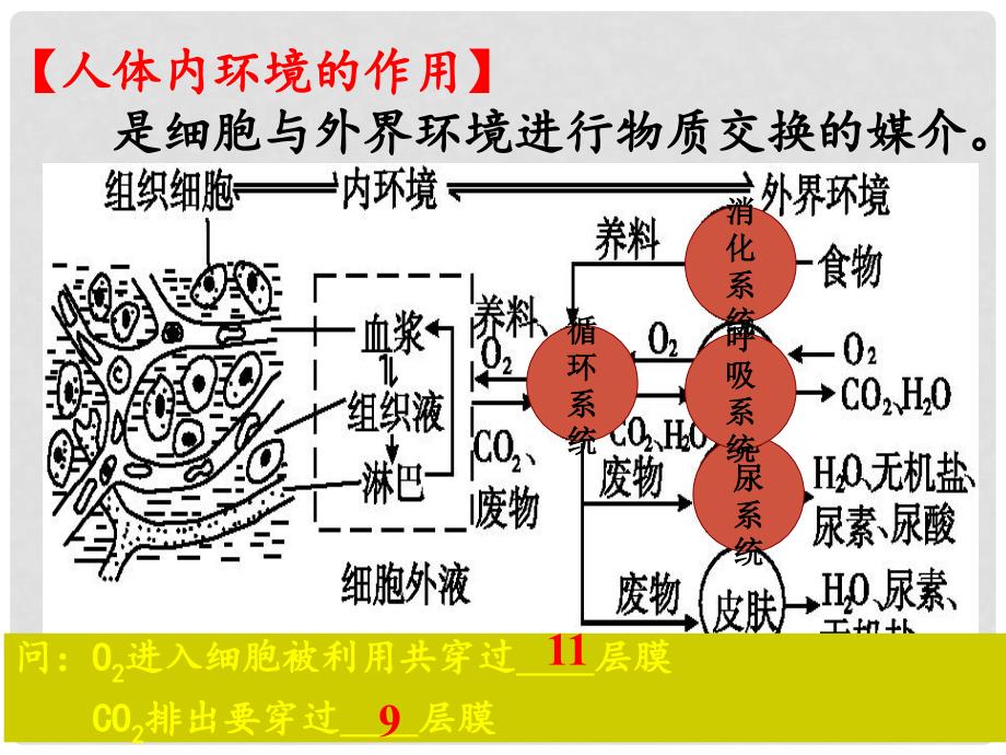 湖南省衡阳县高三生物一轮复习 第17讲 人体的内环境与稳态（第2课时）课件 新人教版必修1_第2页