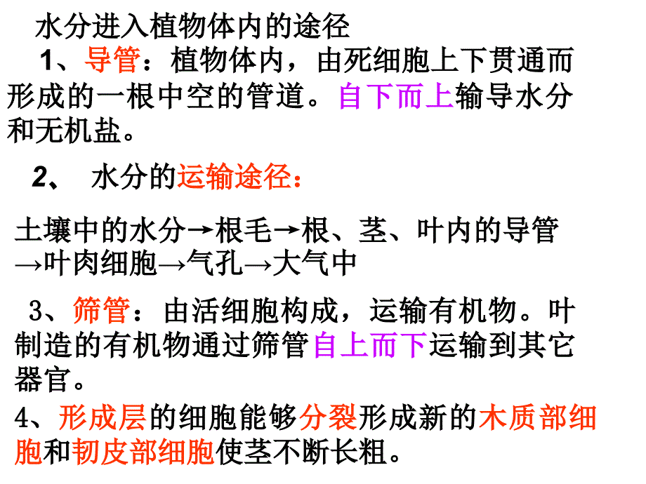 7年级生物第5章绿色开花植物的生活方式复习卷_第3页