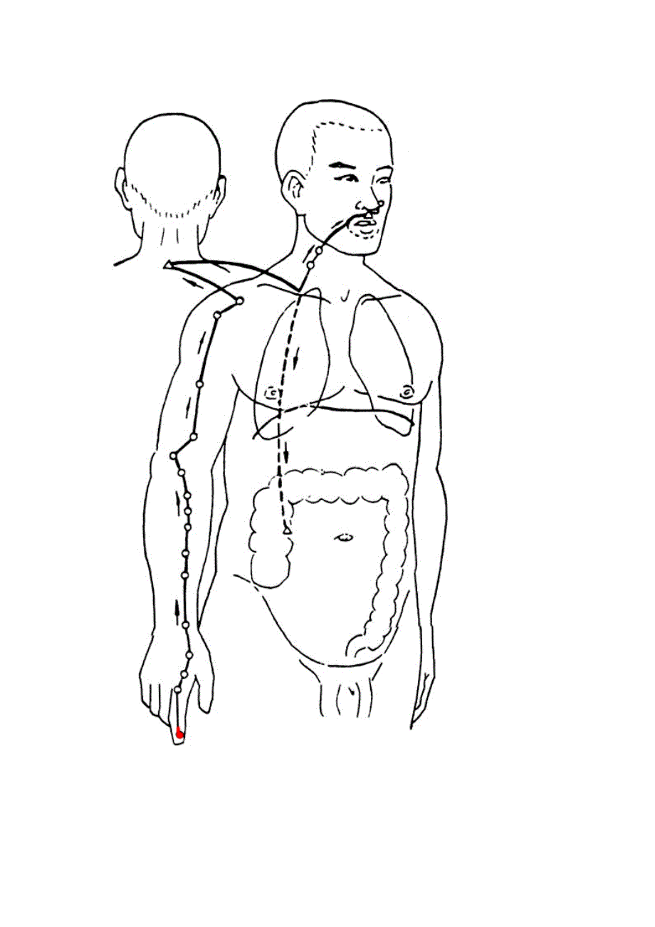 (推荐)人体如果经络僵硬劳损堵塞.doc_第4页