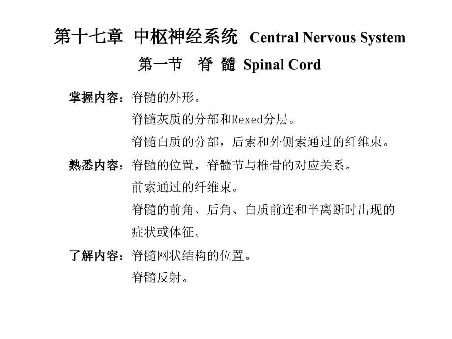 第十二章神经系统总论_第5页