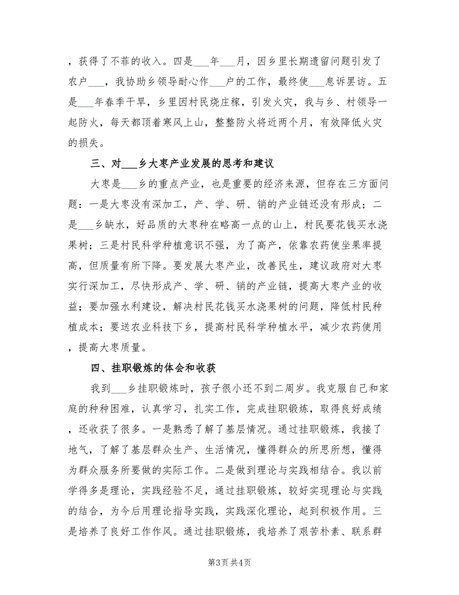 2022年乡党委副书记挂职锻炼工作总结_第3页