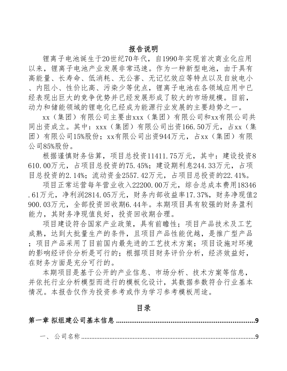 河南关于成立电池公司可行性研究报告(DOC 87页)_第2页