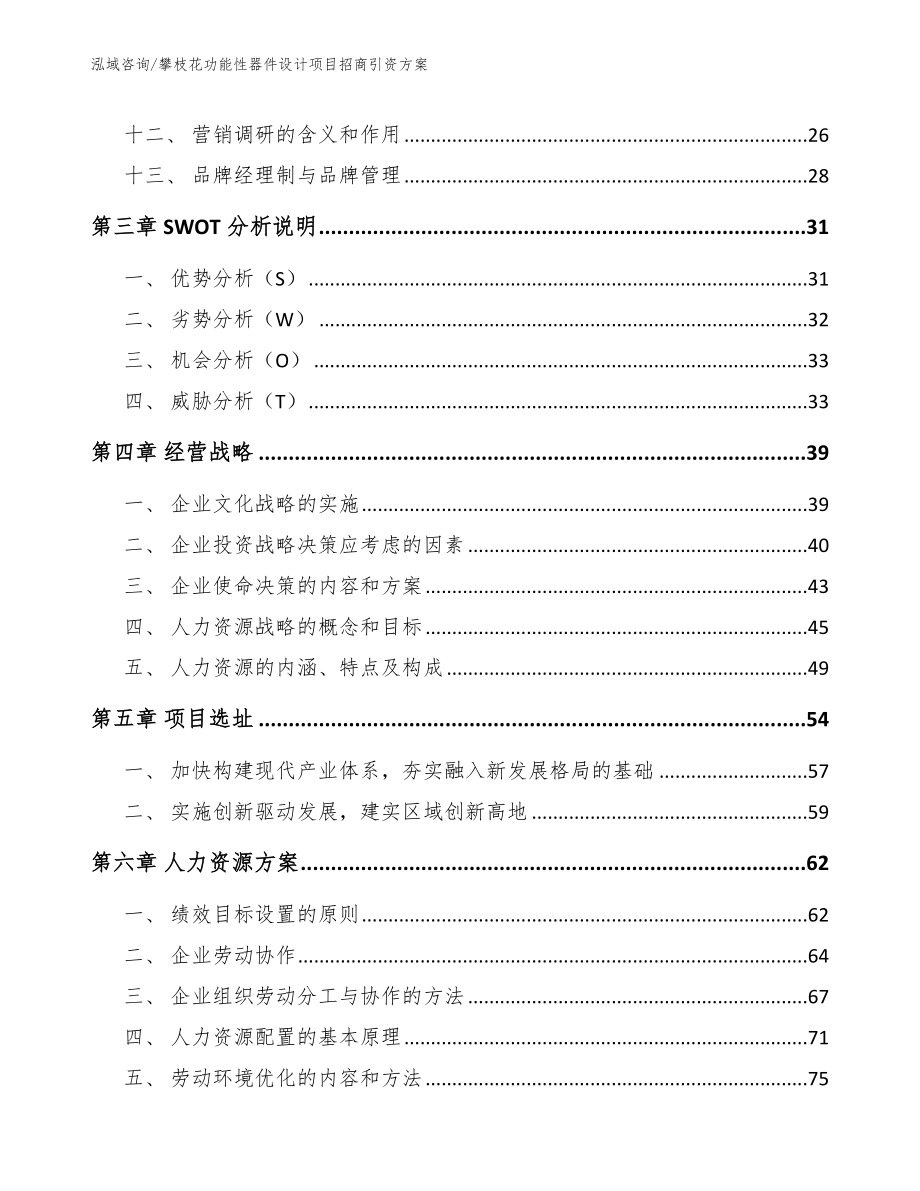 攀枝花功能性器件设计项目招商引资方案_范文参考_第2页