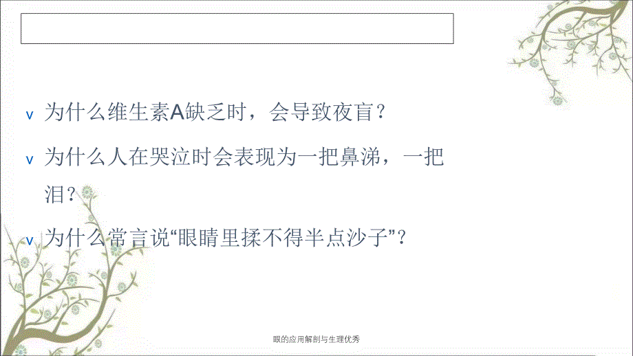 眼的应用解剖与生理优秀_第3页