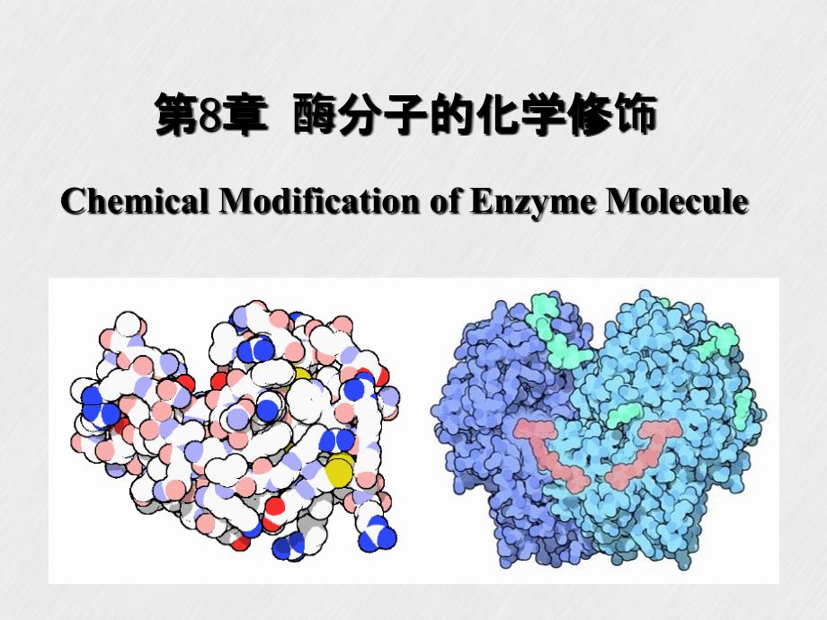 第八章酶分子化学修饰课件_第2页