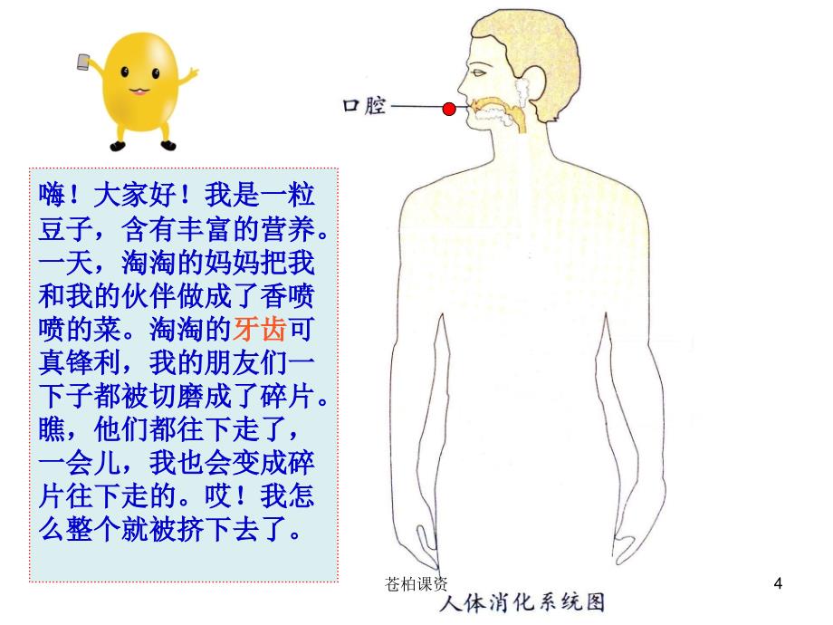 中班《食物的旅行》【专业教学】_第4页