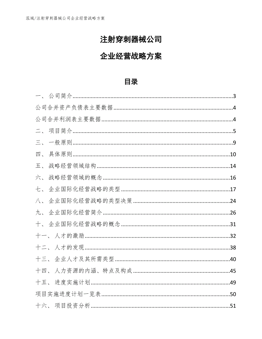 注射穿刺器械公司企业经营战略方案【参考】_第1页