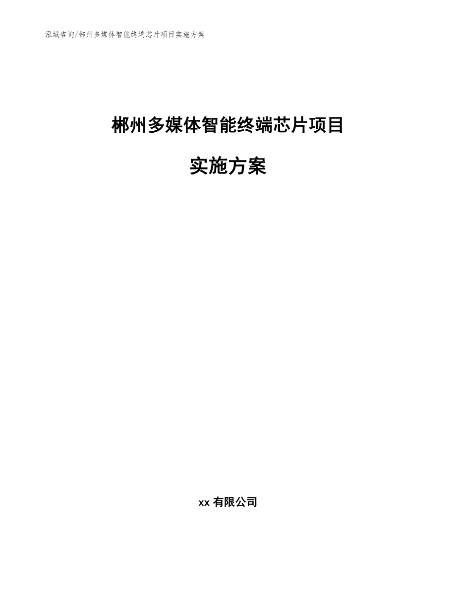 郴州多媒体智能终端芯片项目实施方案模板范本_第1页