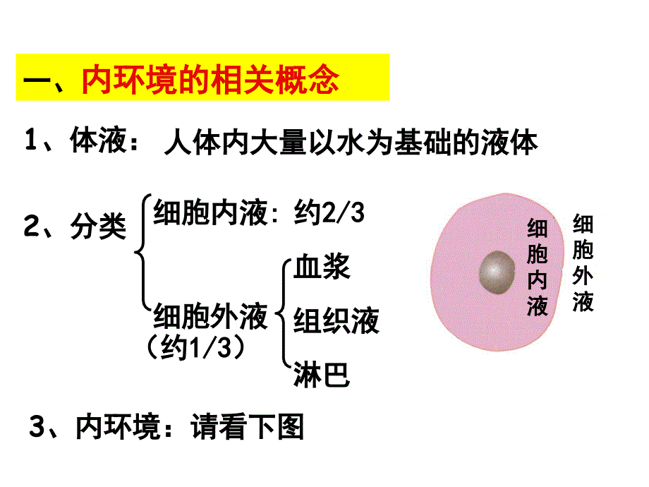 高中生物必修三第一章第一节细胞生活的环境_第2页