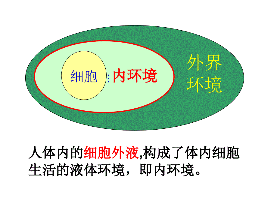 高中生物必修三第一章第一节细胞生活的环境_第3页