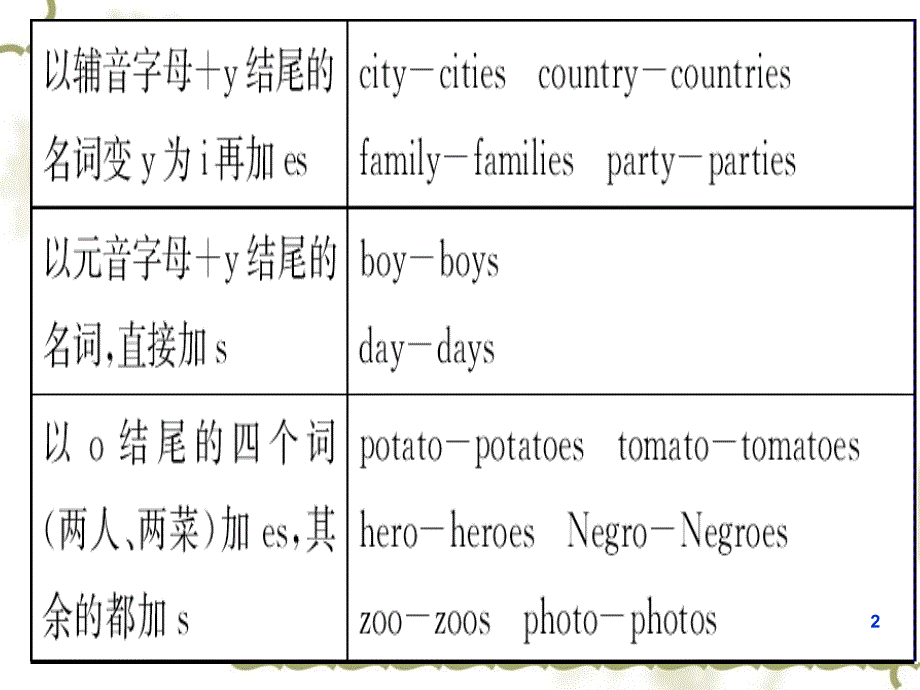 中考英语专题复习名词整理PPT课件_第2页