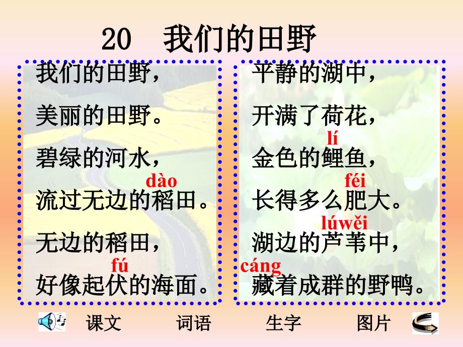 章节文词语生字图片教案_第2页