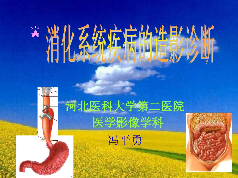 消化系统疾病的造影诊断_第1页