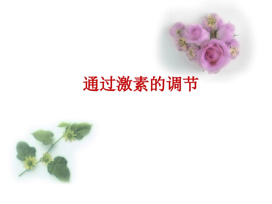 一轮复习通过激素调节_第1页