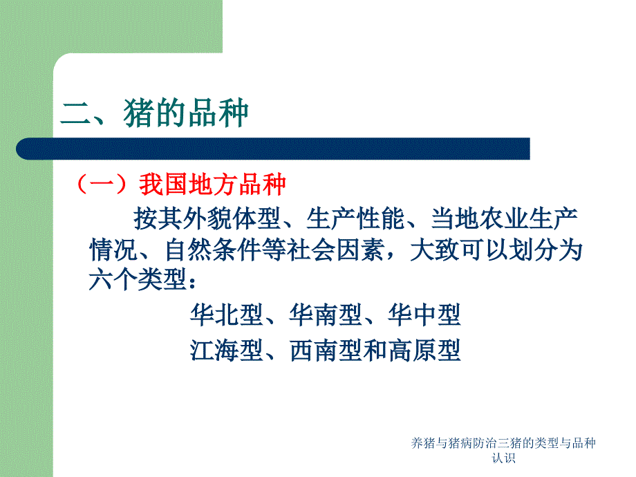 养猪与猪病防治三猪的类型与品种认识课件_第4页