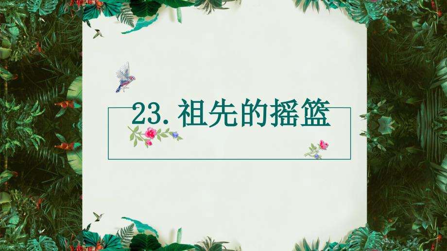 部编版二年级下册语文课堂教学课件23祖先的摇篮_第1页