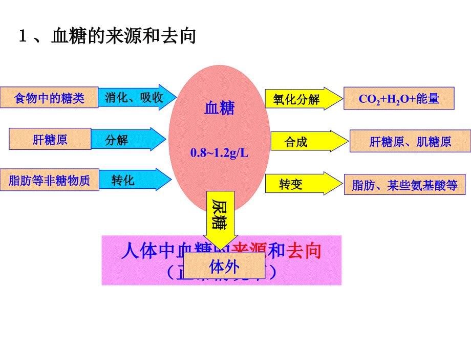 二章动物和人体生命活动的调节_第5页